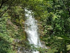 -鼎湖山风景区