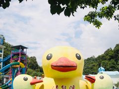 -清泉湾生态旅游度假区