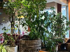 -慢丽江·云南野生菌土鸡锅(付家庄店)