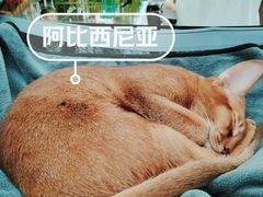 -万达广场(巴南店)