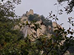 -六里坪国家森林公园