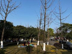 -铁山坪森林公园