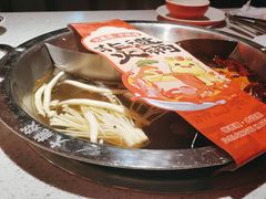 -大龙燚·旷野鲜火锅(广州首店)