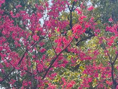 -浙江西子宾馆·瑶园咖啡厅