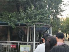 -哈尔滨文化公园