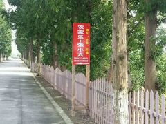 -小六农家乐(崇明西沙湿地店)