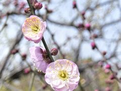 -潮府馆·非遗潮州菜·港式点心(世纪公园店)