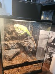 -HEY!TATTOO·嘿刺青