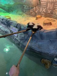 -Zoolung Zoolung动物主题公园(海信广场店)