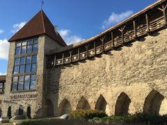 塔林老城城墙-塔林历史中心