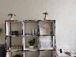 -美若天臣·轻奢皮肤管理