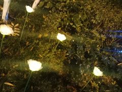 -青城道汤池