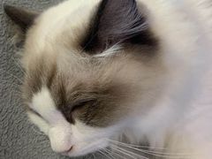 -零纪元VR体验馆·桌游(黄浦店)