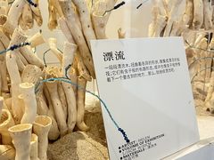 -HELEN FLORAL DESIGN(海上世界文化艺术中心店)