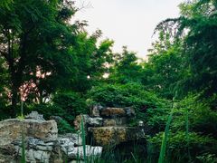 -南开大学滨海学院