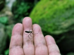 -密云玫瑰情园