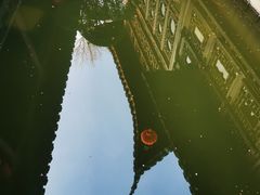 -檀园