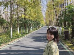 -合肥滨湖国家森林公园