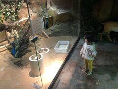 -zoonana室内动物园(东方福来德店)