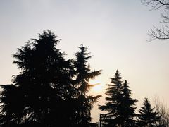 -汉长安城未央宫国家考古遗址公园