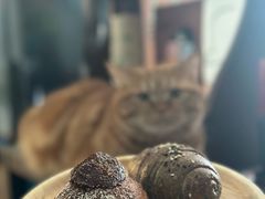 新疆无花果芝士酸面包-大酉·M Coffee(北京美术馆店)