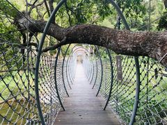 -海南热带雨林国家公园吊罗山景区