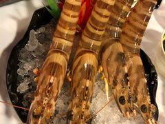 -鲜入围煮花胶鸡海鲜火锅