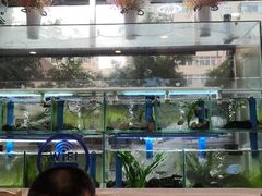 大堂-富临港·蒸汽海鲜·手抓海鲜·炒菜(栈桥店)