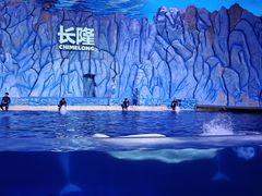-珠海长隆海洋王国