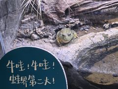 -中国湿地博物馆