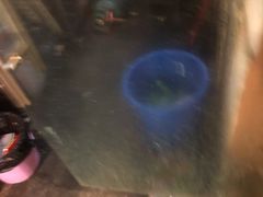 -化龙桥九宫格火锅(清水河店)