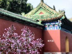 -天坛公园