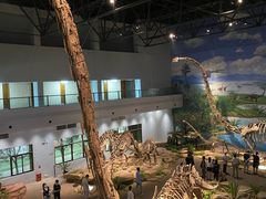 -自贡恐龙博物馆