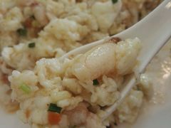 -丁老爷子苏香圆