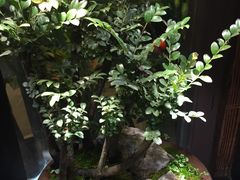 -双季花艺园艺市场(浦东店)