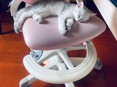 -关爱宠物医院·猫科中心·消化科(滨湖万达分院)