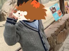 -大东尚品实验幼儿园