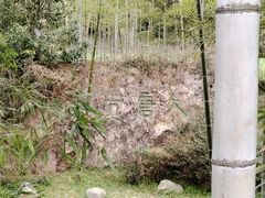 -大唐贡茶院