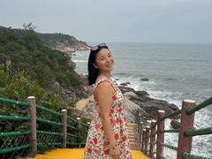 -广东惠东海龟国家级自然保护区