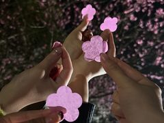 -常德桃花源景区