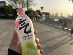 -武昌江滩