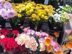-丽达购物中心(崂山店)