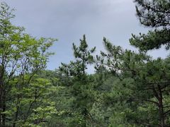 -天柱山风景区