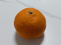-上海大学(宝山校区)