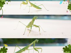 -北京山里寒舍度假酒店