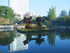 -嘉定紫藤园