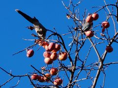 -北京邮电会议中心
