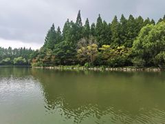 -东平国家森林公园