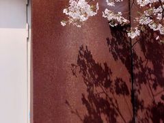 -龙美术馆(西岸馆)