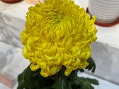 -汇龙潭